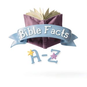 Bible Wisdom and Fun Facts Childrens Book Kindle Edition-0